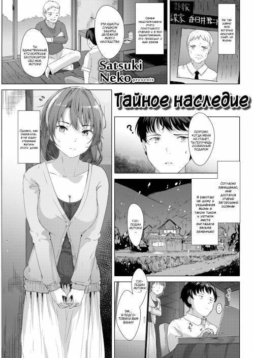 Himitsu no Isan / Тайное наследие