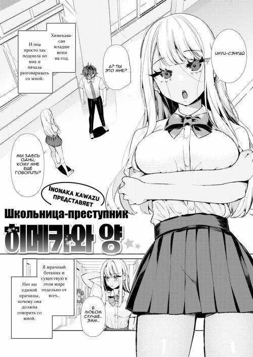 Yankee Gal No Himekawa-San / Подросток Химэкава-сан