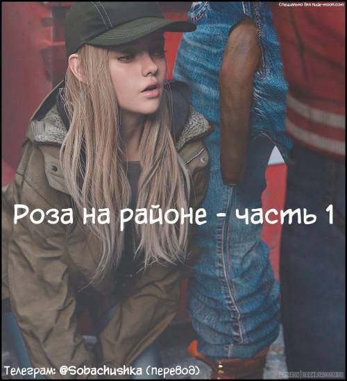 Rose In The Hood №1 / Роза на районе