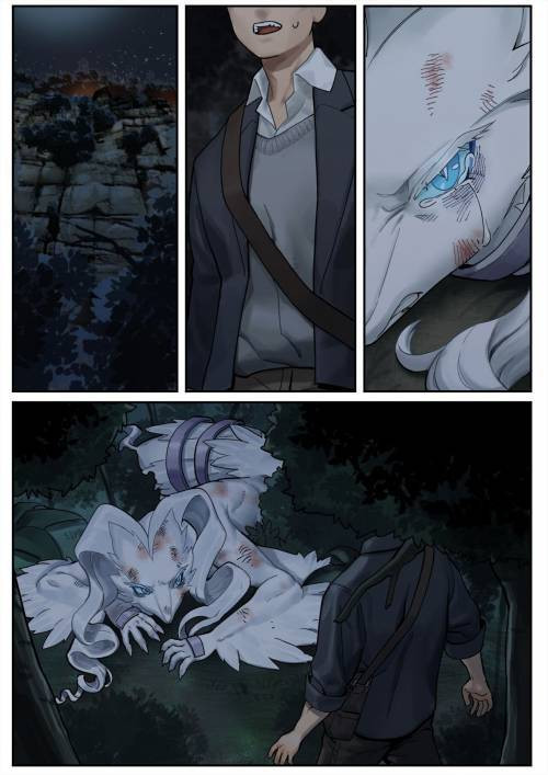 Reshiram / Реширам