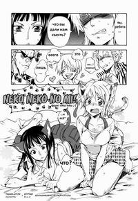 Neko Neko No Mi (Фрукт Кот Кот)
