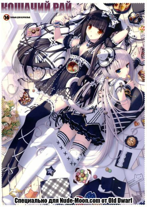 Neko Paradise / Кошачий рай