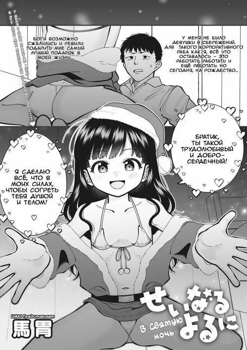 Seinaru Yoru ni (On The Holy-Night) / В святую ночь