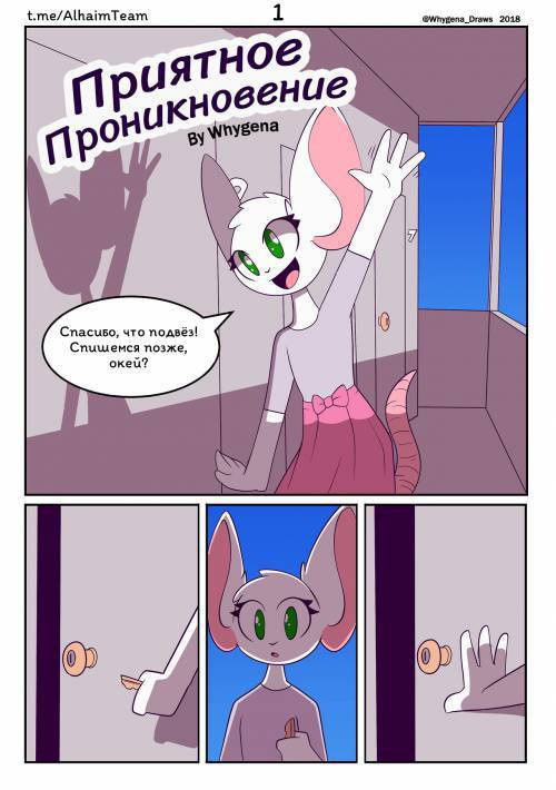 Welcome Intrusion / Приятное проникновение