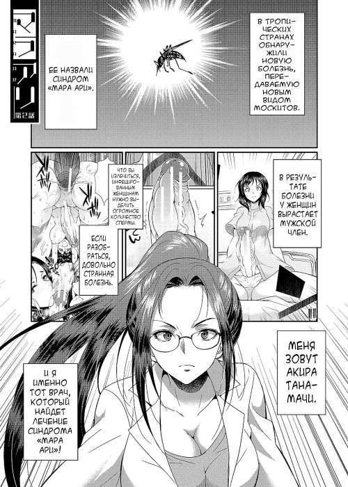 Futanari x Reijou x Dairankou - Futanari Daughter Grand Orgy №4