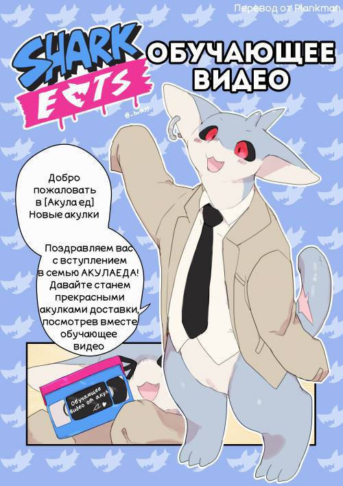 Sharkeats / Акулаед