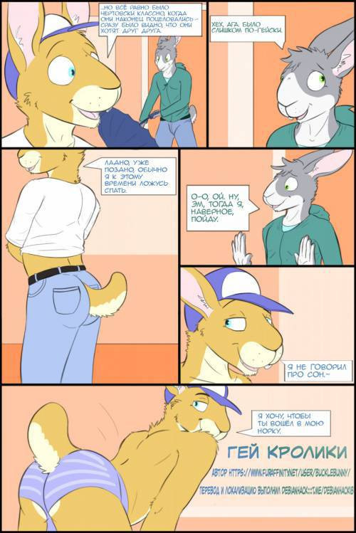 Gay Bunnies / Гей кролики
