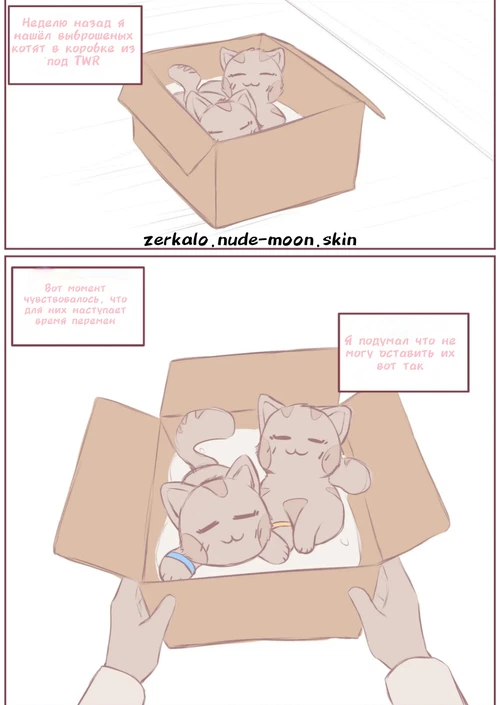 Котёнок, которого я поднял, превратился в девочку. / 拾った子猫が女の子になりました