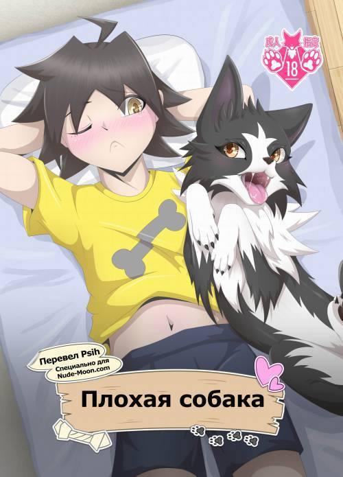 Bad Dog / Плохая собака