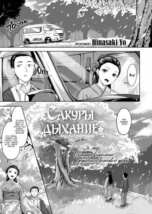 Breath of Fresh Sakura / Сакуры дыхание