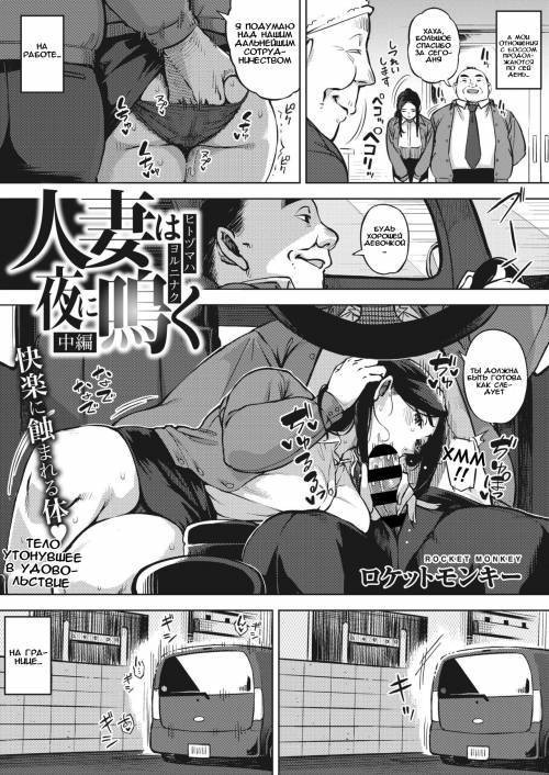 Hitozuma wa Yoru ni Naku Chuuhenn №24