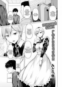 Maid no Sugao / Истинный облик горничной