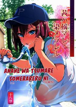 Akane wa Tsumare Somerareru  №1