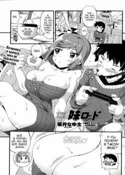 Susume Imouto Road