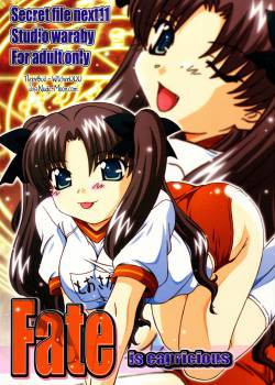 Secret File Next 11 - Fate is Capricious