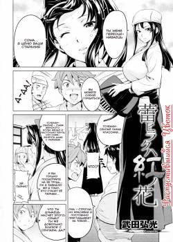 Ima Ria №5 - Tsubomi Hiraku wa Beni no Hana / Распустившийся цветок